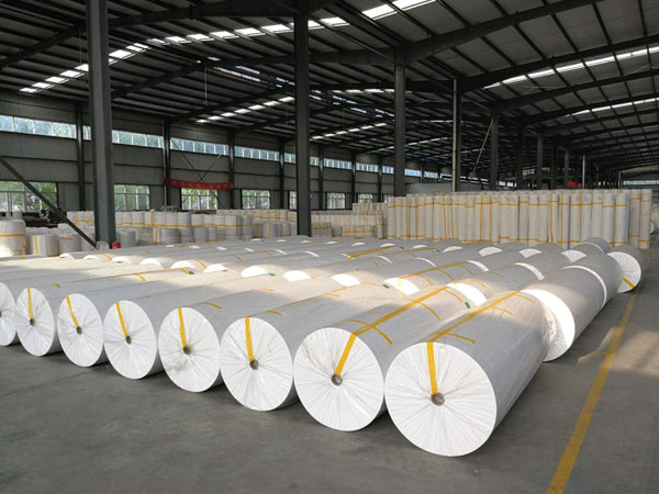 龙江狭缝式涤纶纺粘无纺布